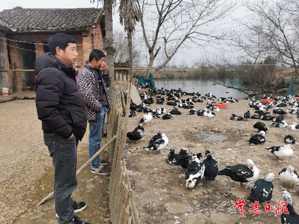 IMG_20220216_10304130_1644979463384.jpeg IMG_20220216_10304130_1644979463384.jpeg