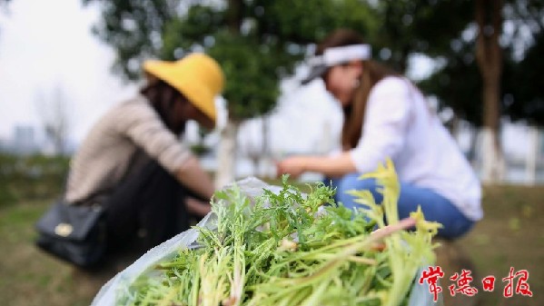 IMG_20220317_20232932_1647520406237.jpeg IMG_20220317_20232932_1647520406237.jpeg