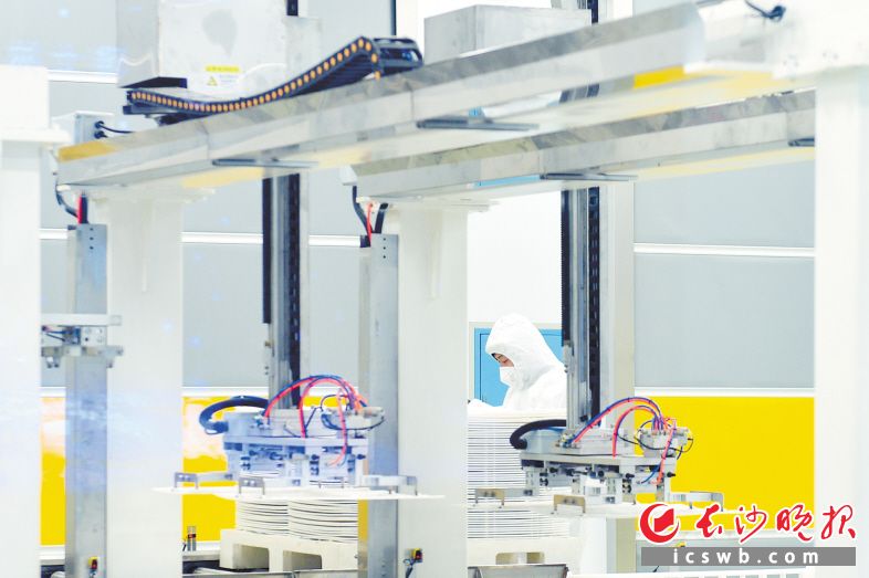 雅士林長沙（國際）蠶桑絲綢智造產業園項目采用的是高度自動化和智能化的生產技術及設備，一號生產線可日產蠶繭25噸。長沙晚報全媒體記者 易億 攝